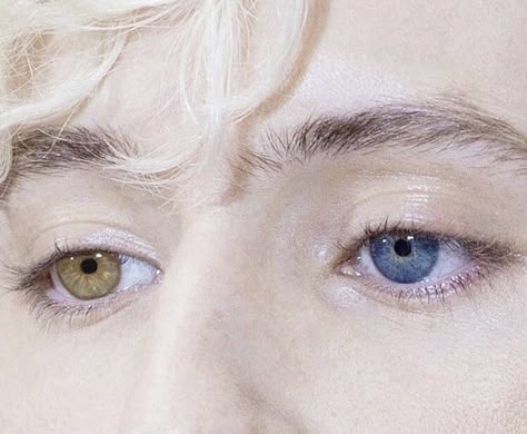 Noah Czerny, Draco Malfoy Harry Potter, Malfoy Harry Potter, Heterochromia Eyes, The Raven Boys, The Raven Cycle, Raven Cycle, Targaryen Aesthetic, The Dark Artifices