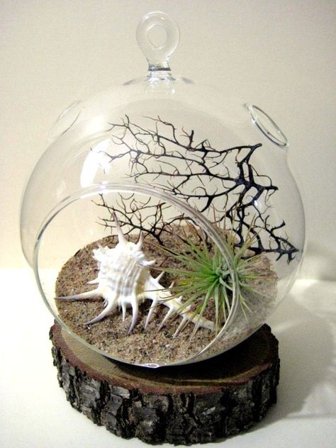 terrarium Pyramid Terrarium, Tillandsia Terrarium, Crystal Room Decor, Crystal Room, Plant Terrarium, Air Plant Terrarium, Garden Terrarium, Mini Vase, Succulents Diy