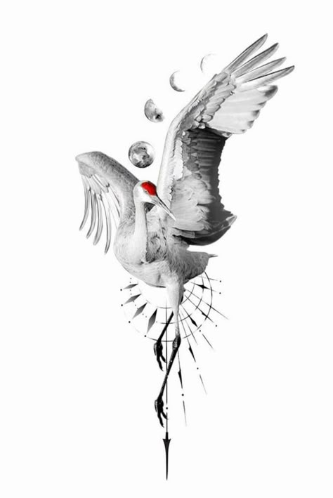 Japanese Cranes Art, Realistic Crane Tattoo, Abstract Bird Drawing, Chinese Crane Tattoo, Japanese Heron Tattoo, Japanese Crane Tattoo Design, Sandhill Crane Tattoo, Crane Bird Tattoo, Crane Tattoo Design