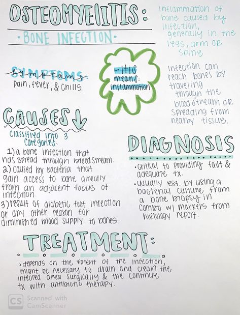 About osteomyelitis; bone infection Orthopaedic Nursing, Musculoskeletal Nursing, Basic Nursing Notes, Disease Notes, Podiatry Medical Assistant, Physiotherapy Study Notes, Pathology Notes Medical Students, Nurse Study Notes Bones, Muscoskeletal Nursing