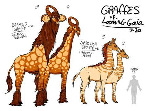 Mythical Animal Hybrids, Mythical Humanoid Creatures, Fantasy Hybrid Animals, Hybrid Animals Fantasy Creatures, Hybrid Animals Concept Art, Mythical Giraffe, Mythical Animal, Cute Fantasy Creatures, Fantasy Beasts