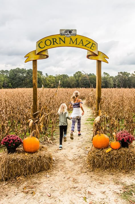 Cherry Farm, Visit North Carolina, Jumping Castle, Fall Family Fun, North Carolina Travel, East Coast Road Trip, Farm Business, Corn Hole, Corn Maze