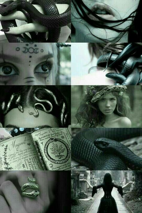 Snake Witch, Baba Jaga, Slytherin Aesthetic, Beltane, Witch Aesthetic, Witchy Woman, Witchy Vibes, A Snake, Aesthetic Collage