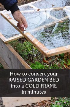 Cold Frame Gardening, Winter Vegetables Gardening, Diy Garden Bed, Vegetable Garden Raised Beds, Building A Raised Garden, Cold Frame, Organic Gardening Tips, Seasonal Garden, Raised Bed