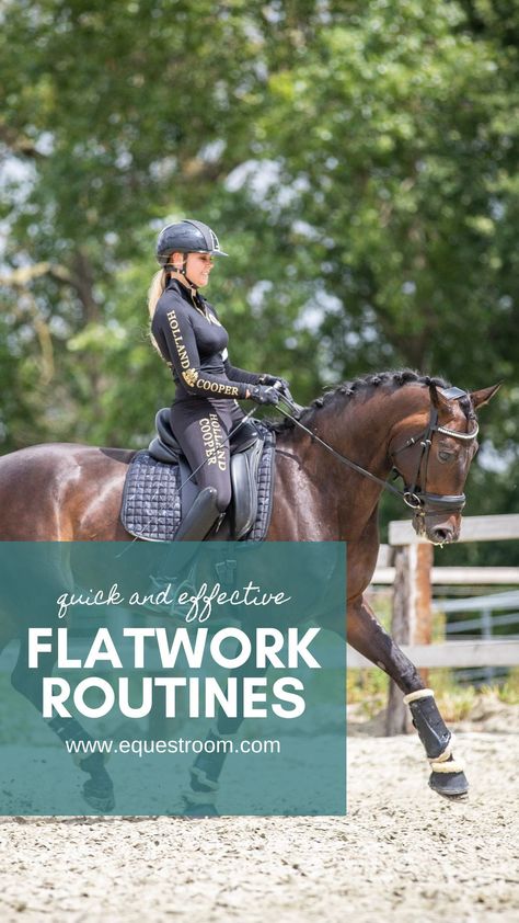 Horse Riding Flat Work Exercises, Horse Strengthening Exercises, Stretches For Equestrians, Riding Exercises For Horses, Horse Conditioning Plan, Equestrian Flat Work Exercises, Flatwork Exercises For Horses, Horse Stretching Exercises, Horse Riding Exercises Flatwork