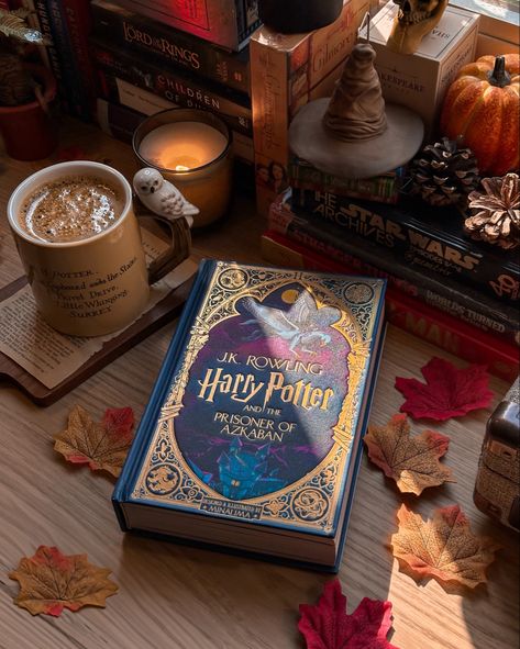 Halloween Book Aesthetic, Harry Potter Aesthetic Book, Pumpkin Carving Hocus Pocus, Harry Potter Book Aesthetic, Harry Potter Books Aesthetic, Harry Potter Autumn, Harry Potter Prisoner Of Azkaban, Harry Potter Vibes, Recipes Pumpkin