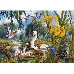 John Francis | Barneys News Box Free Jigsaw Puzzles, Animals Illustration, Free Online Jigsaw Puzzles, Online Puzzles, Jigsaws, Jigsaw Puzzles Online, Holiday Pictures, Climbing Roses, Walk In The Woods