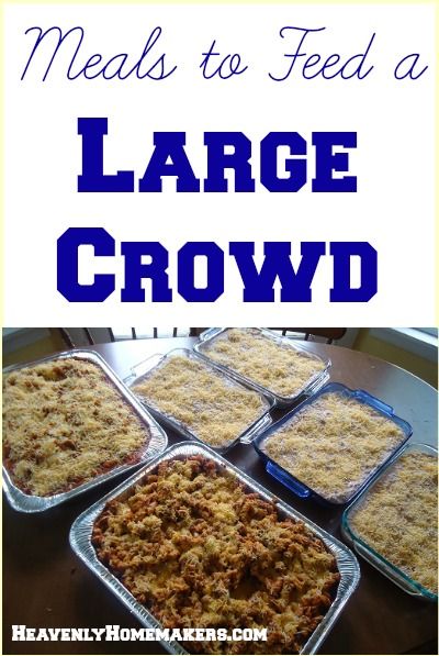 Meal Ideas For A Large Group, Meal Ideas For Big Groups, Easy Dinners For Big Groups, Quick Meals For Large Groups, Recipes For 30 People, Food For 200 People, Beach Meals For A Crowd, Food That Feeds A Crowd, Feed Large Crowd Cheap