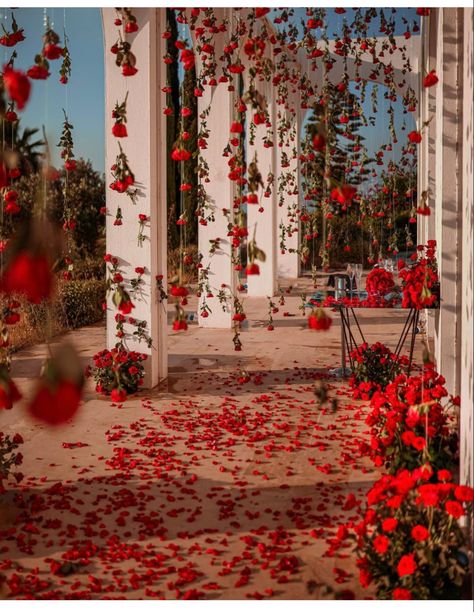 Roses From Ceiling Wedding, Rose Petals On The Floor, Romantic Courtyard Wedding, Hanging Red Roses, Red Roses Hanging From Ceiling, Rose Garden Wedding Theme, Roses From Ceiling, Rose Petal Proposal, Red Garden Wedding