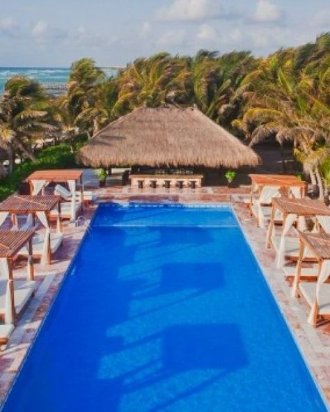 Dorado Seaside Suites by Karisma Gourmet All Inclusive (Playa del Carmen, Mexico) - #Jetsetter Travel Bucket List, Travel Bucket, Hotel Reviews, Tulum, All Inclusive, Trip Advisor, Bucket List, Great Deals, Favorite Places