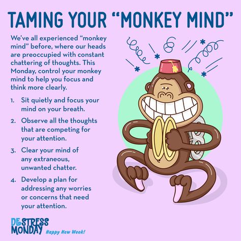 Monkey Mind Buddhism ☸️ Monkey Mind Quote, Anger Management Activities For Kids, Anger Management Activities, Monkey Mind, Focus Your Mind, Soothing Baby, Happy New Week, Clear Your Mind, Anger Management