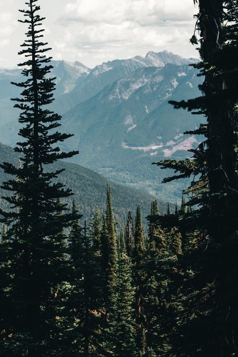 Free Canada Image on Unsplash Wild Park, Canadian Wilderness, Mountain Images, National Parks Photography, Canada Images, Tree Images, Landscape Scenery, Canadian Rockies, Adventure Park