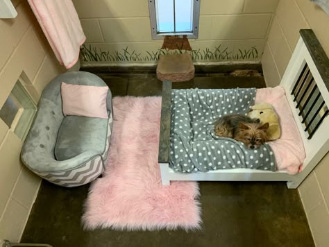 Puppies Bed Ideas, Aesthetic Dog Bed Ideas, Dog Sleep Area, Pet Furniture Beds & Bed Frames, Pink Dog Room, Dog Corner Ideas Bedroom, Dog Bedroom Ideas Small Spaces, Puppy Playpen Ideas Indoor, Dog Bed Ideas For Bedroom