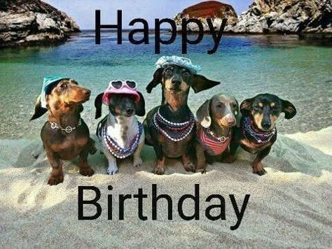 Friend Meme, Free Happy Birthday Cards, Funny Happy Birthday Wishes, Birthday Greetings Friend, Birthday Friend, Happy Birthday Greetings Friends, Happy Birthday Friend, Birthday Wishes Funny, Happy Birthday Meme