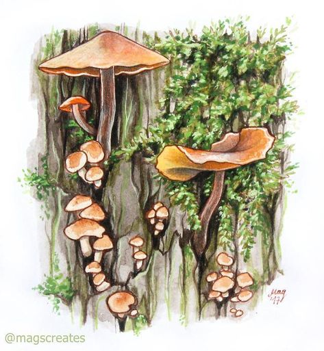 Moss Drawing Tutorial, Gouache Mushroom Painting, How To Draw Moss, Aesthetic Mushroom Art, Watercolor Moss, Moss Drawing, Moss Illustration, Watercolour Mushroom, Watercolour Plants