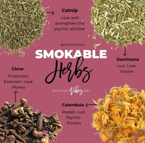 How To Burn Loose Herbs, Smokeable Herbs And Benefits, What Herbs Can Be Smoked?, Herbs That Can Be Smoked, Smokable Herb Blends Diy, Smokeable Herbs List, Smokable Herbs And Their Benefits, Smokable Herbs That Get You High, Herbal Ciggerate