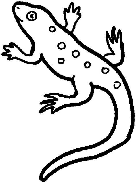 Reptile Coloring Pages - Best Coloring Pages For Kids Lizard Spiderman, Lizard Coloring Pages, Cartoon Lizard, Desert Lizards, Lizard Species, Cute Lizard, Family Coloring Pages, Spiderman Coloring, Animal Templates