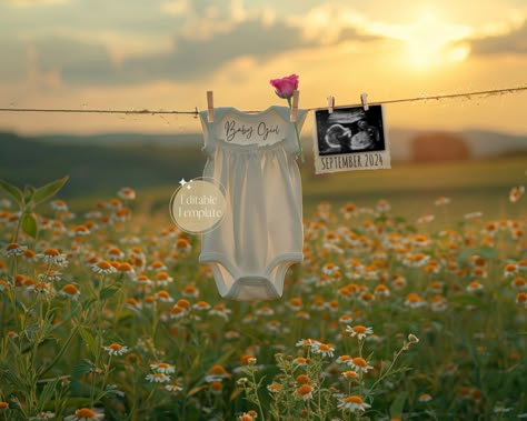 Digital Girl Pregnancy Announcement, Spring Baby Announcement, It's A Girl Gender Reveal, Boho Summer Wildflowers Social Media, Instagram Baby In Bloom Announcement, Flower Baby Announcement, Outdoor Baby Announcement, Baby Girl Gender Announcement, June Baby Announcement, Pregnancy Announcement Spring, Spring Baby Announcement, Baby Gender Announcement, Girl Pregnancy Announcement