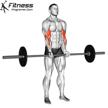 Dumbbell Bicep Curl, Best Biceps, Exercises For Men, Free Workout Plans, Forearm Muscles, Dumbbell Curls, Bicep Muscle, Gym Exercises, Personalized Workout Plan