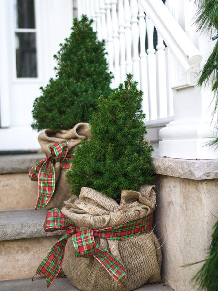 Christmas Decorations Garden, Christmas Decor Garden, Christmas Garden Decor, Decorate Plants For Christmas, Decorate House Plants For Christmas, Ranch Home Christmas Outdoor Decor, Natural Brancg Christmas Over Door, Outdoor Xmas Decorations Pots & Planters, Natal Natural