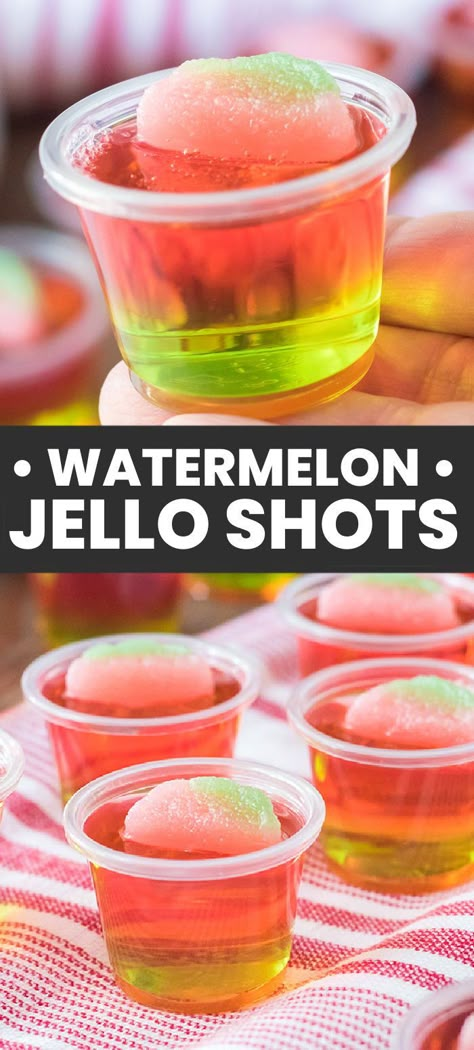 These easy layered watermelon jello shots are so good! Green and pink jello give these shots their watermelon look with a sour watermelon candy on top for fun! Perfect for a warm weather treat. Red Jello Shots, Watermelon Shots, Jolly Rancher Jello, Watermelon Jello Shots, Best Jello Shots, Watermelon Jello, Jello Shots Vodka, Jello Shots Recipe, Cake Vodka