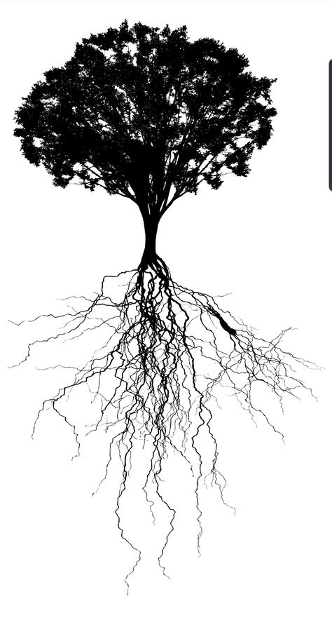 Tree Roots Drawing, Roots Aesthetic, Tree With Deep Roots, Black Flash Tattoos, Yggdrasil Tattoo, Roots Drawing, Tree Roots Tattoo, Tattoo Espalda, Jhin League Of Legends