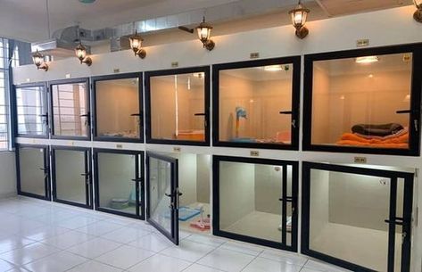 Veterinary Office Organization, Luxury Dog Kennel Pet Hotel, Vet Clinic Kennel Ideas, Animal Rescue Facility, Pet Daycare Design, Dog Boarding Ideas In Home, Pet Grooming Design, Dog Boarding Kennel Ideas, Vet Clinic Ideas Design