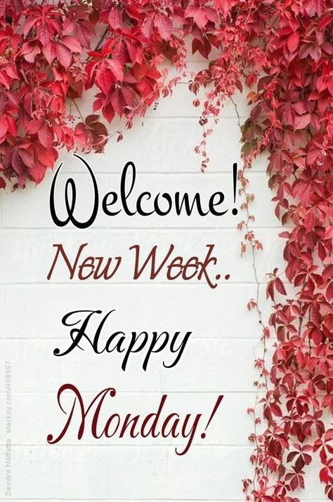 Happy Monday Images, Nice Good Morning Images, Monday Greetings, Monday Wishes, Happy Monday Quotes, Happy Monday Morning, Monday Images, Monday Morning Quotes, Inspirational Good Morning Messages