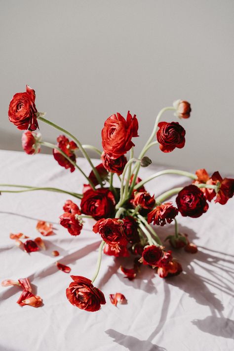 Floral arrangement made with red ranunculus. Photo: www.marcossanchez.net Flower Ikebana, Ranunculus Arrangement, Red Ranunculus, Red Flower Arrangements, Floral Therapy, Ranunculus Bouquet, Holiday 2024, Ikebana Arrangements, Red Bouquet