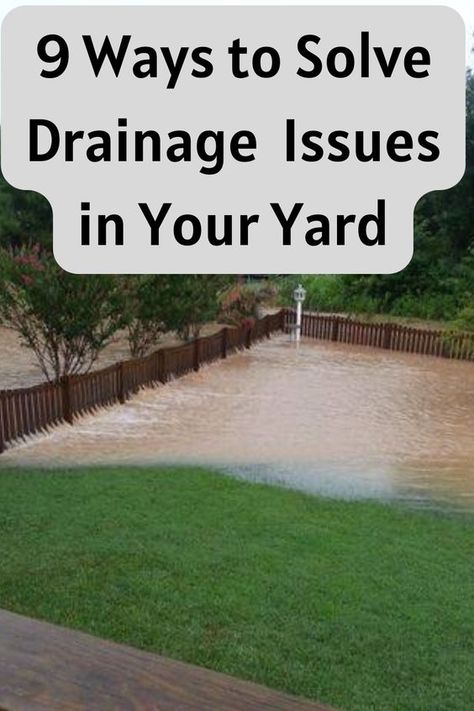 9 ways to solve drainage issues in your yard Fence Line Drainage, Rock Drainage Ditch, Lawn Drainage Solutions, Garden Drainage Ideas, Garden Drainage Solutions, Backyard Flooding Solutions, Backyard Drainage Ideas, Water Drainage Ideas Yards, Erosion Plants