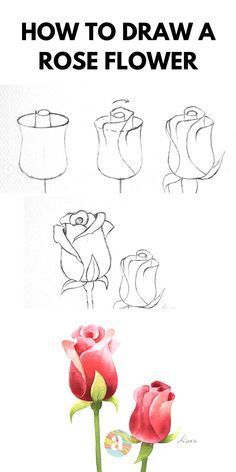 How To Draw Realistic Flowers Step By Step, Flower Painting Easy Step By Step, Draw Step By Step For Beginners, How To Draw A Realistic Flower, Draw A Flower Step By Step, How To Draw Realistic Flowers, Coloured Drawing Ideas, How To Draw Flowers For Beginners, How To Draw Rose