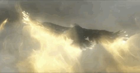 0244c20f5fdbb756fe363fd5766dd7ef.gif (494×260) Wind Magic Gif, Eagle Gif, Wind Magic, Magic Gif, Golden Magic, Golden Eagle, Aesthetic Gif, Assassins Creed, Character Inspiration