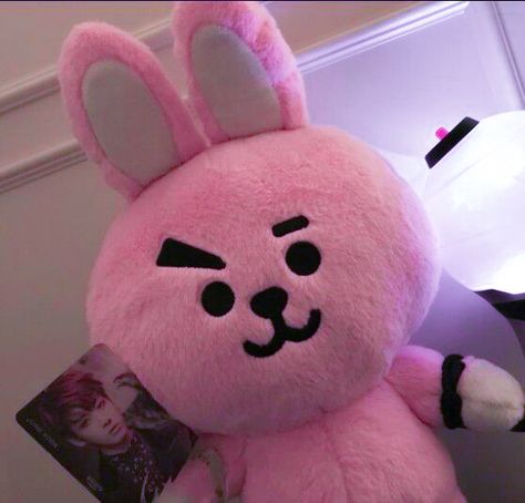 Chimmy Without His Hoodie, Bt21 Kookie Cute, Cute Pfp Pink, Bt21 Plushies, Shooky Bt21, Bts Birthdays, 17 Kpop, Kpop Merchandise, Bts Merch