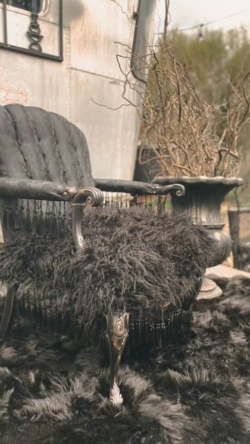 Immortal Curio Company on Instagram: "Antique fluted chair. 🖤⚔️" Goth Furniture, Faux Fur Chair, Gothic Setting, Gothic Candle Holder, Fur Chair, Moon Chair, Birthday Posters, Black Armchair, Gothic Furniture