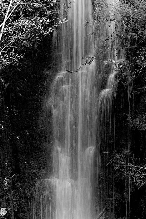 Dark Astetic, Dark Waterfall, Water Tiktok, Aesthetic Australia, Green Witch Aesthetic, Waterfall Project, Tiktok Christmas, Blackandwhite Aesthetic, Wall Aesthetic