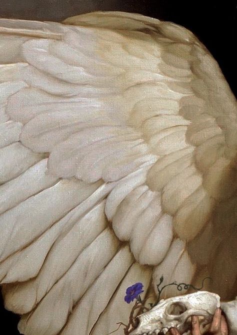 𝔙𝔞𝔪𝔭𝔦𝔯𝔞 (Void, 22/11) on Twitter: "Details: L'ala nera o Il tocco dell'angelo by Roberto Ferri.… " Angel Aesthetic, Detail Art, 인물 사진, Fallen Angel, Character Aesthetic, Greek Mythology, Percy Jackson, Manga Anime, Art Reference