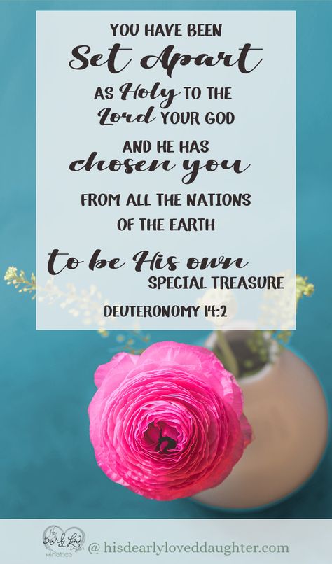 You have been set apart as holy to the Lord your God, and he has chosen you from all the nations of the earth to be his own special treasure. Deuteronomy 14:2 #hisdearlyloveddaughter #bibleverse #scripture #wordofgod Bible Verse Memorization, He Is Lord, Work For The Lord, Glory To God, Love Your Wife, Set Apart, Biblical Verses, Favorite Bible Verses, Christian Blogs