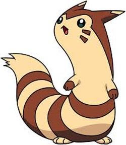 Step furret 08 How to Draw Furret from Pokemon with Easy Steps Drawing Lesson Steps Drawing, Drawing Pokemon, Adorable Drawings, Pokemon Heart Gold, Pokemon Original, Pokemon Tv, Popular Pokemon, Wild Pokemon, Drawing Lesson