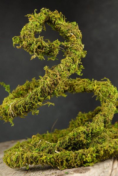 Preserved Moss Vine 6ft - Save-On-Crafts Voodoo Wedding, Enchanted Forest Bedroom, Wire Vine, Enchanted Forest Decorations, Lodge Christmas, Bouquet Succulent, Moss Grass, Enchanted Forest Party, Enchanted Forest Theme