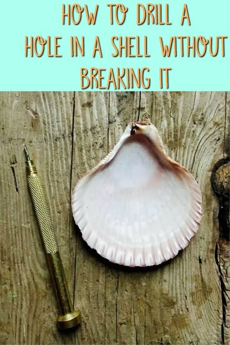 Seashell Jewelry Diy, Sea Shells Diy, Oyster Shell Crafts, Seashell Projects, Art Coquillage, Diy Hanging Shelves, Shells Diy, Shell Crafts Diy, Sea Crafts