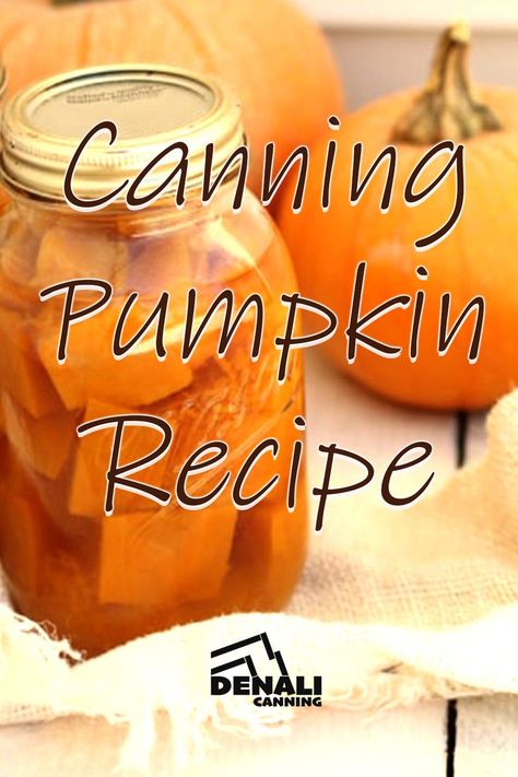 Canning is such a fun time, but if you can a lot (like us) you’re probably looking for new ideas every day! This week, why not try canning Pumpkin?? • • All credits go to the fabulous Jill of @ThePrairieHome • • #CanningPumpkin #canning #DenaliCanning #recipe #Denali #canningrecipes #WhatCanICanWednesday Canning Pumpkin, Mason Jar Pies, The Prairie Homestead, Can Pumpkin, Prairie Homestead, Canning Food, Canning Recipe, Canning Food Preservation, Pumpkin Recipe