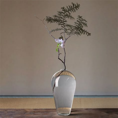 Japandi Vase, Wabi Sabi Plants, Hydroponic Vase, Japanese Style Interior, Wabi Sabi Vase, Japanese Flower Arrangement, Wabi Sabi Home Decor, Botanical Bedroom, Flowers Transparent