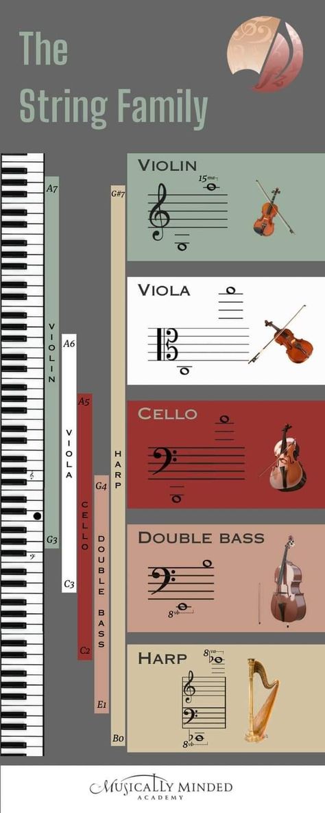 Composing Aesthetic, Music Theory Aesthetic, Cello Tips, Music Student Aesthetic, Cello Aesthetic, Orchestra Aesthetic, Orchestra Instruments, Cello Photography, Music Theory Piano