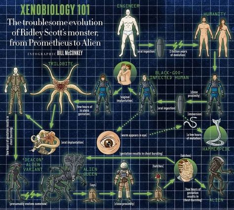 The "Alien" Xenomorph life cycle as we understand it so far. Giger Alien, Predator Alien Art, Alien Artwork, Alien Queen, Arte Alien, Aliens Movie, Alien Concept, Ridley Scott, Alien Vs Predator