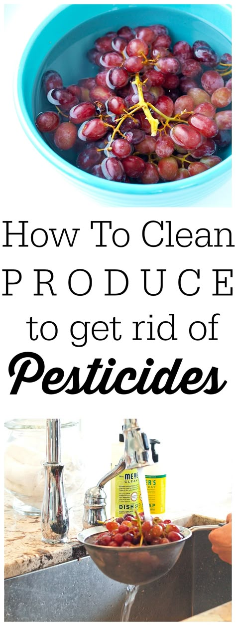 Are you unable to buy organic produce?  Find out how to use a natural vinegar wash to reduce the amount of pesticides on your fruits and vegetables! Soak Fruit In Vinegar, Vinegar Soak For Fruit, Vinegar Rinse For Fruit, Fruit Rinse White Vinegar, Washing Produce With Vinegar, How To Clean Your Fruit, How To Clean Produce, How To Clean Potatoes, Cleaning Produce