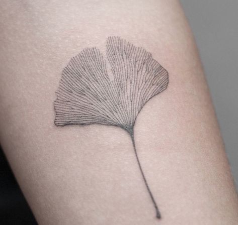 Detailed gingko leaf tattoo with fine lines | www.otziapp.com Blatt Tattoos, 42 Tattoo, Art Nouveau Tattoo, Nouveau Tattoo, Leaf Tattoo, Mushroom Tattoos, Plant Tattoo, Botanical Tattoo, Nature Tattoos