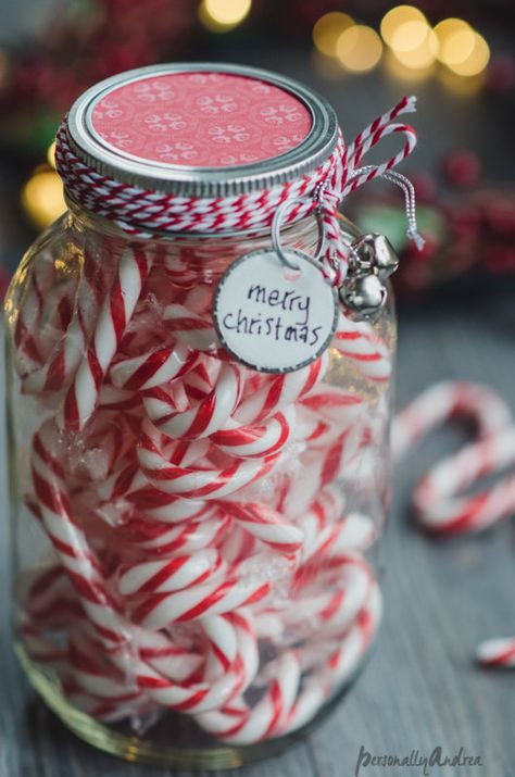 Last Minute Candy Candy Cane Jar Gift | personallyandrea.com Christmas Guessing Games Jar, Christmas Candy Jars Ideas, Candy Jars Ideas, Christmas Aroma, Guessing Jar, Jar Christmas Gifts, Handmade Gifts Christmas, Christmas Hosting, Christmas Candy Jars