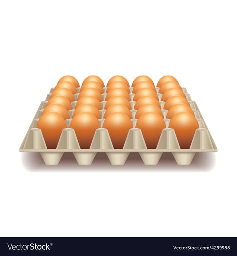 Breakfast Meme, Food Flashcards, Fruit And Veg Shop, Egg Vector, Egg Tray, Food Png, Vector Food, Food Clips, Hay Day