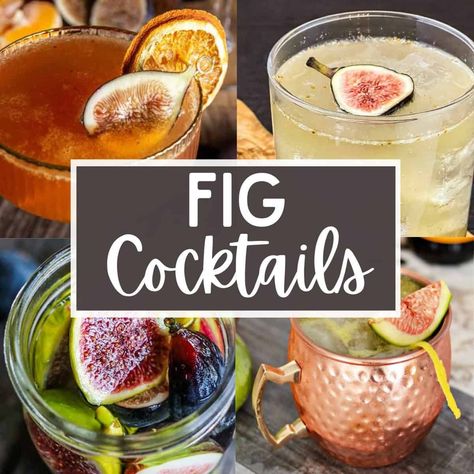 It’s fall which means it’s fig season! These fig cocktails are all unique craft cocktails that are easy to make at home. Fig Tequila Cocktail, Fig Drinks Alcohol, Fig Cocktail Recipes, Fig Cocktails, Fig Cocktail, Fig Syrup, Flavored Alcohol, Fig Season, Easy Alcoholic Drinks