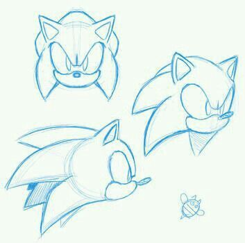 Face Practice, How To Draw Sonic, Sonic Face, Hedgehog Drawing, Sonic Funny, Sonic Fan Characters, Sonic Franchise, Hedgehog Art, Sonic And Shadow